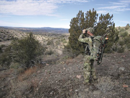 Scanning the rolling hills of northern Arizona is a great way to find both deer and javelina.